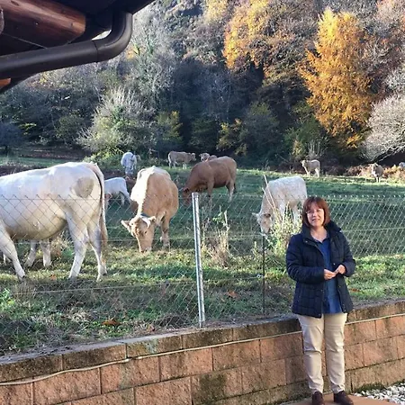 Semesterbostad Ballestan