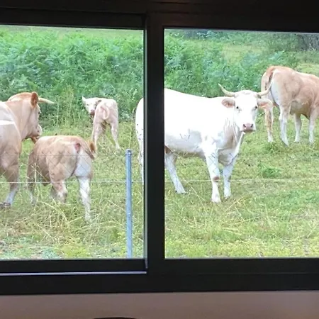 Ballestan בית נופש