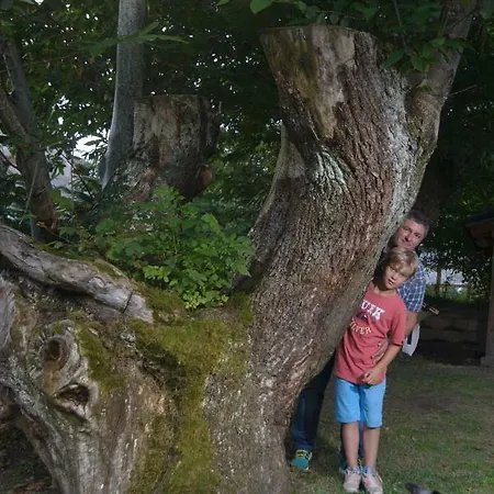 בית נופש Ballestan Saint-Béat