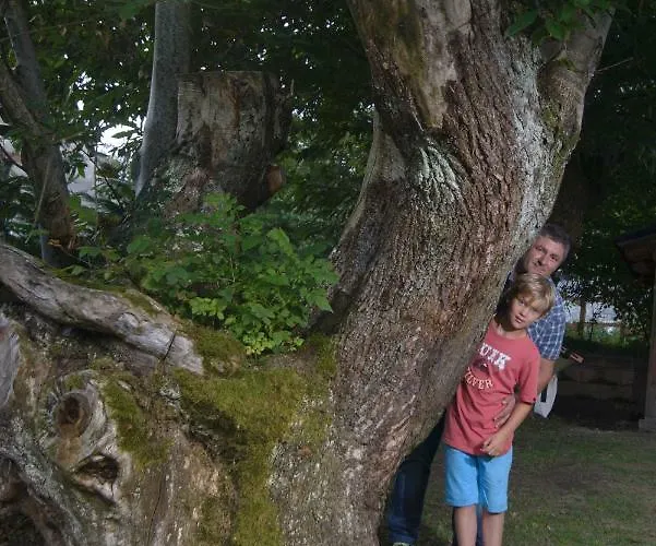 度假居 Ballestan Saint-Béat